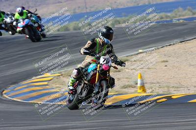 media/May-11-2024-SoCal Trackdays (Sat) [[cc414cfff5]]/4-Turns 9 and 8 (9am)/